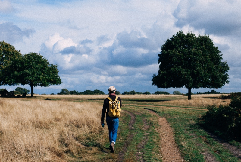Verdiepingsdag: Wandelen als franciscaanse weg