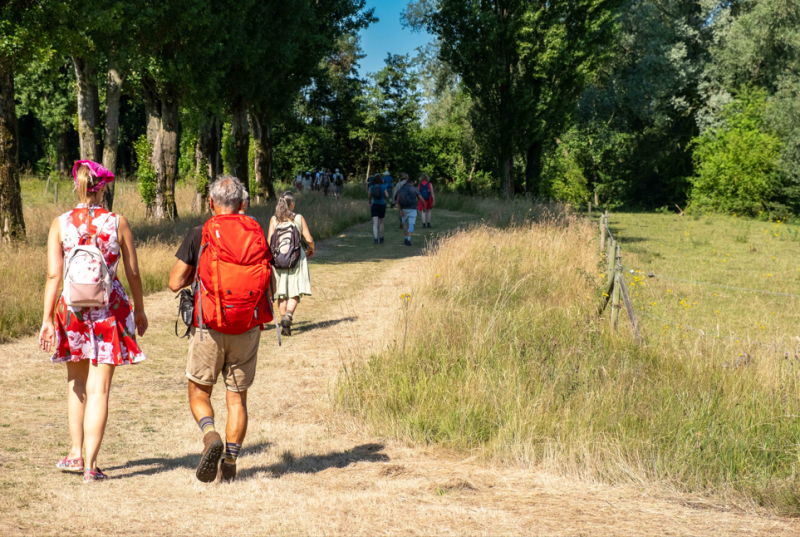 Pelgrimsweekend met Franciscus: 800 jaar onderweg - 26 & 27 september in Zeeland
